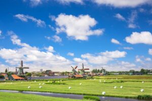 Picturesque view of traditional windmills and farmland in rural Amsterdam under a clear blue sky.