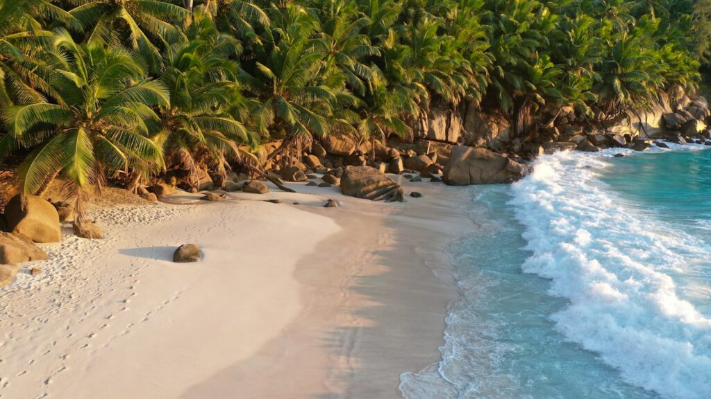 waves crashing on seashore during daytime