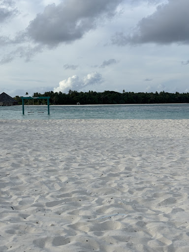 Photo from customer review