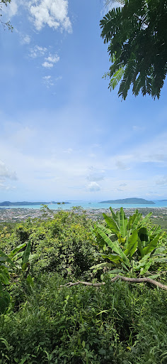 Photo from customer review