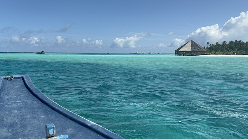 Photo from customer review