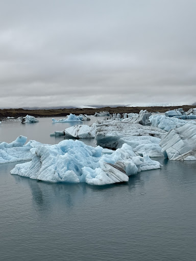 Photo from customer review