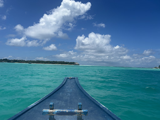 Photo from customer review