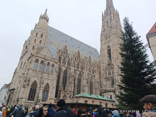 Photo from customer review