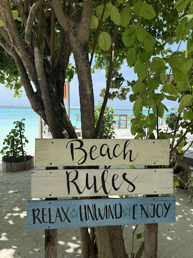 Photo from customer review