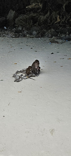 Photo from customer review