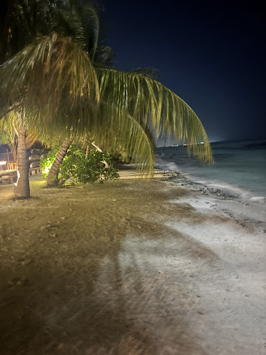 Photo from customer review