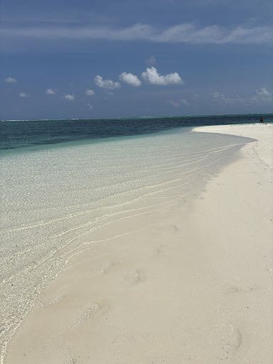 Photo from customer review