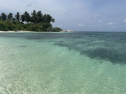 Photo from customer review