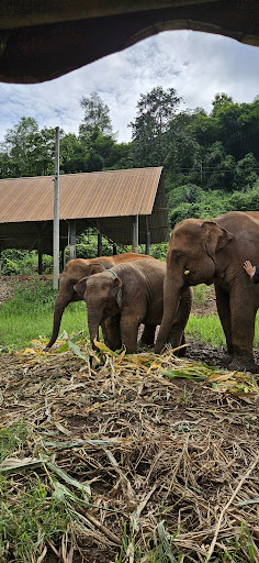 Photo from customer review