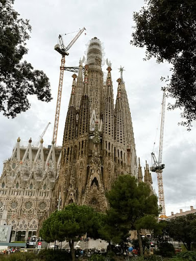 Photo from customer review