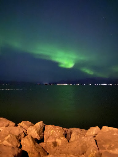 Photo from customer review