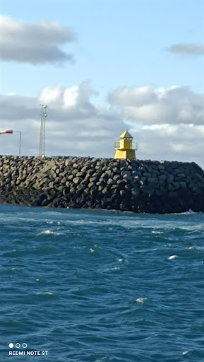 Photo from customer review