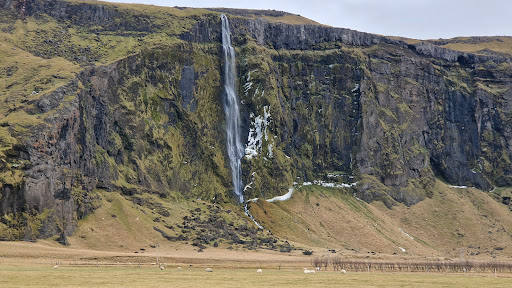 Photo from customer review