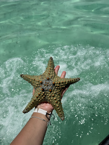 Photo from customer review