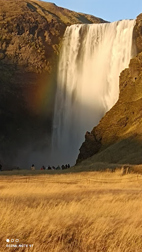 Photo from customer review