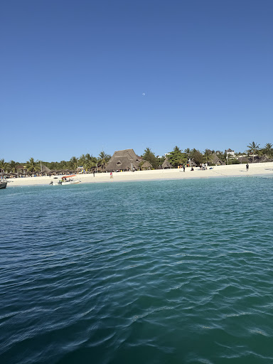 Photo from customer review