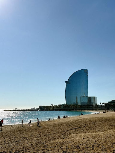 Photo from customer review