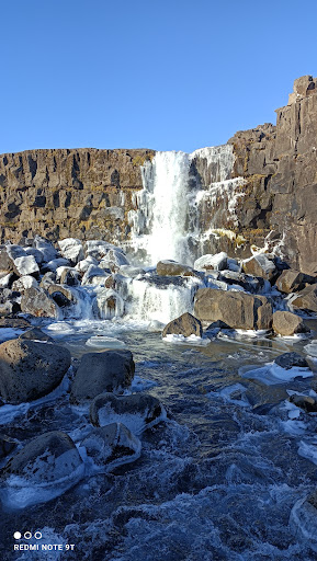 Photo from customer review