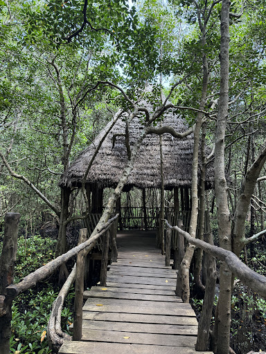 Photo from customer review