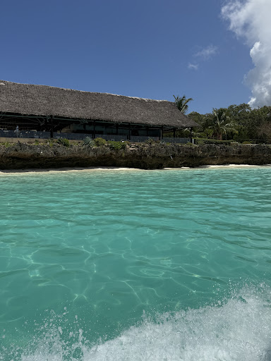 Photo from customer review