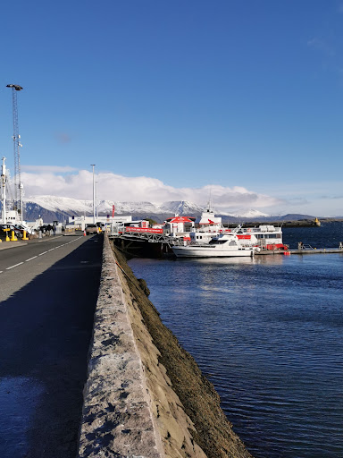 Photo from customer review