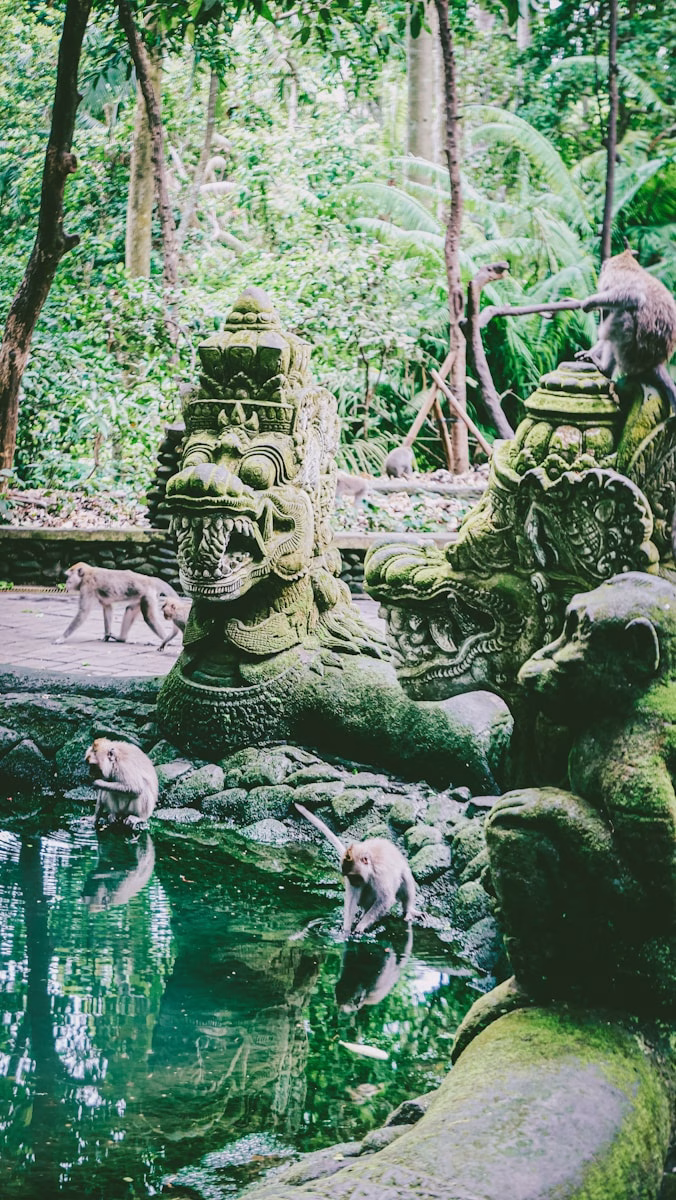 Ubud Monkey Forest