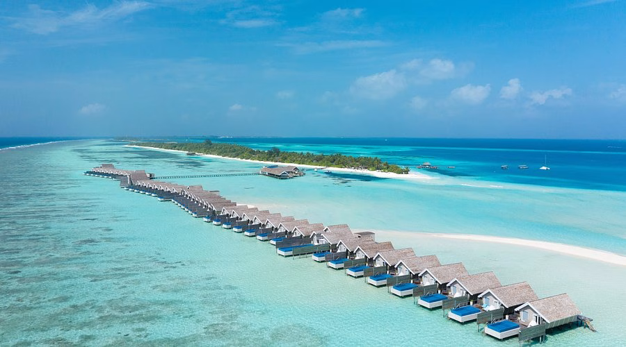 Κατάδυση στο South Ari Atoll με φαλαινοκαρχαρίες - Fthera Travel