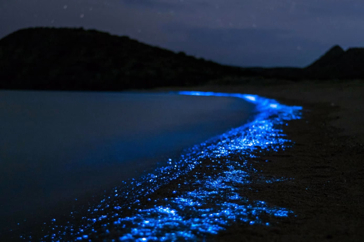 Φαινόμενο Sea of Stars στις Μαλδίβες - Fthera Travel