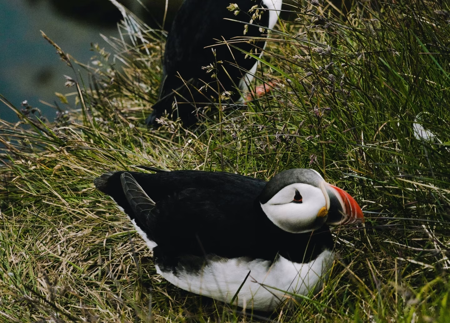 north iceland EXPEDITION