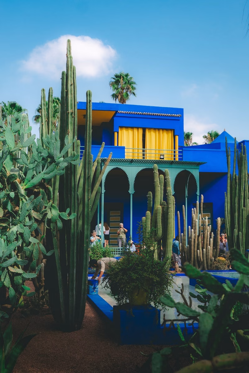 Κήποι Majorelle στο Μαρακές στο Μαρόκο με μπλε και εξωτικά φυτά