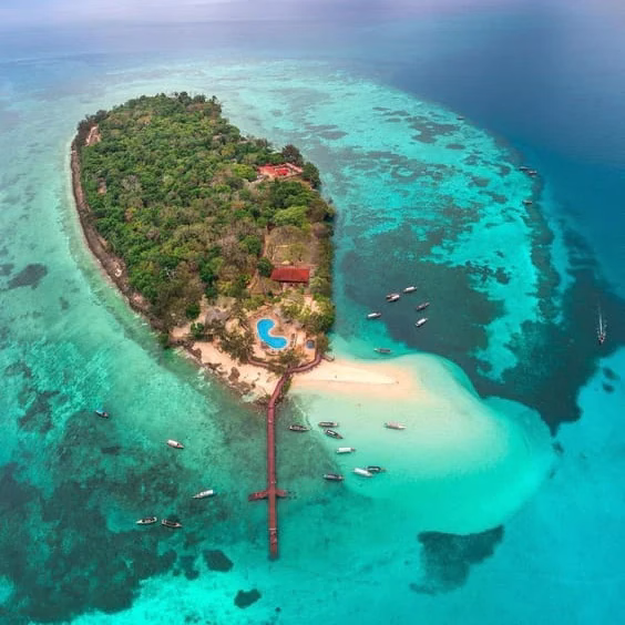 Γιγάντιες χελώνες Aldabra στο Prison Island