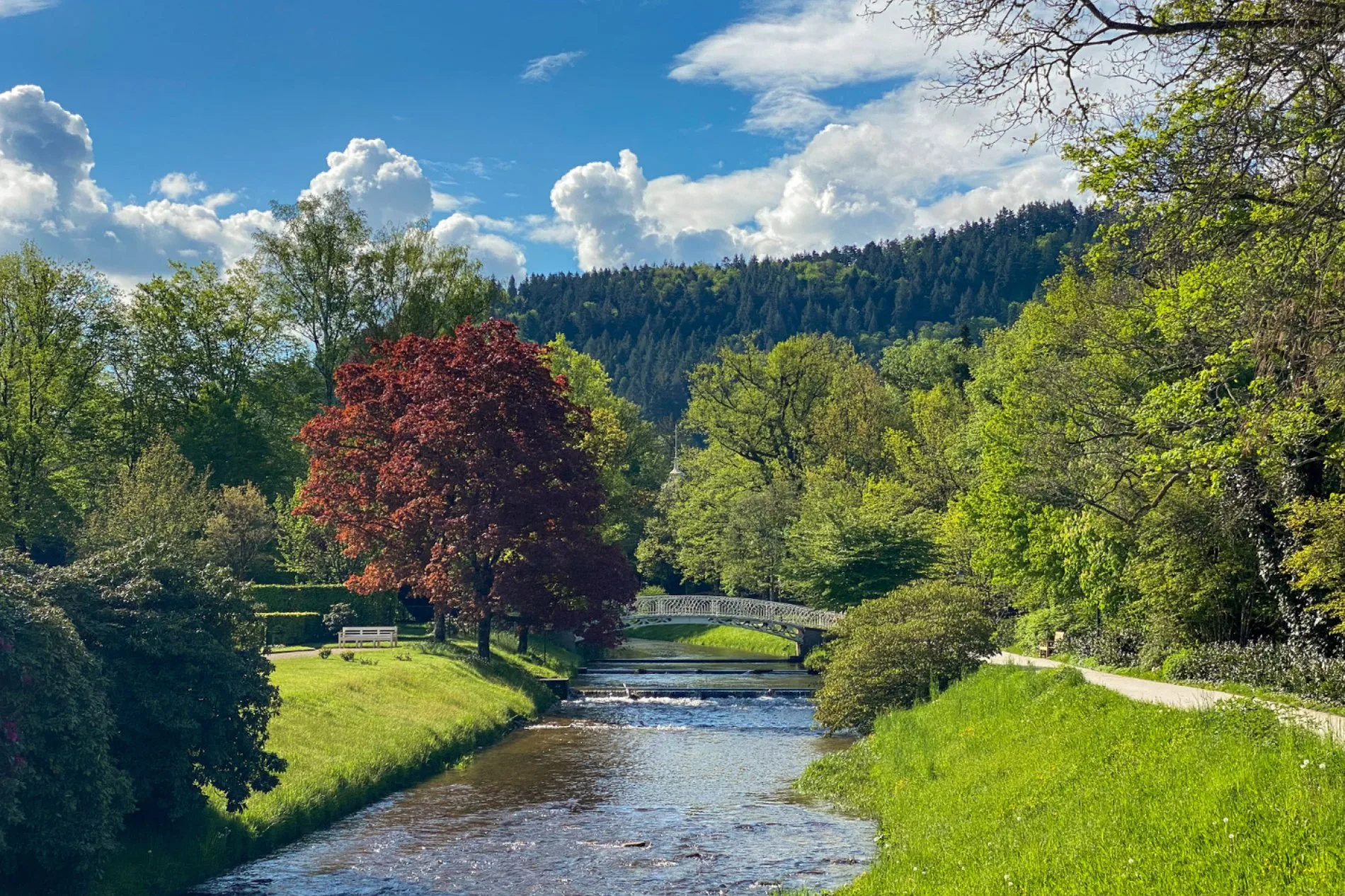 Περίπατος στη φύση — Lichtentaler Allee, Baden-Baden