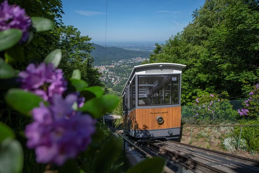 Θέα από το Merkurberg — Μέλανας Δρυμός, Baden-Baden